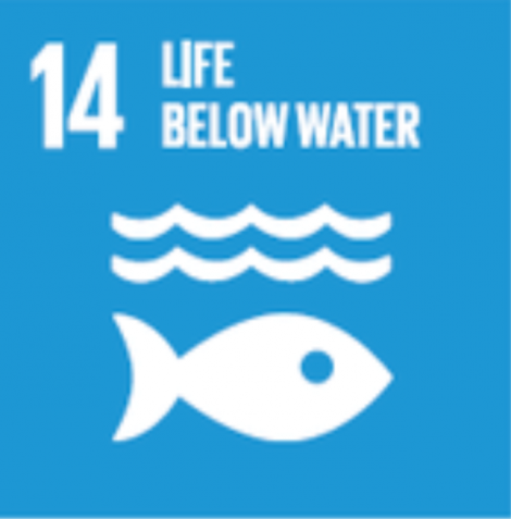 UN Sustainability Goal 14